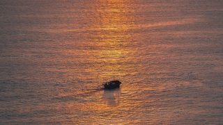 自然纪录片画面，非洲草原上狮群在金色夕阳下漫步，画面壮观震撼